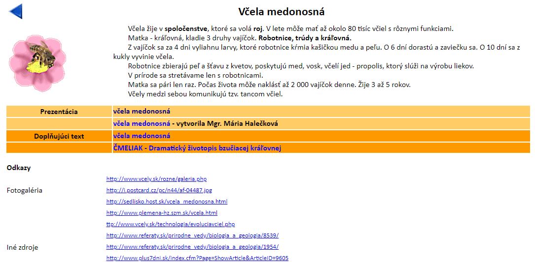 Všeličo o včielkach