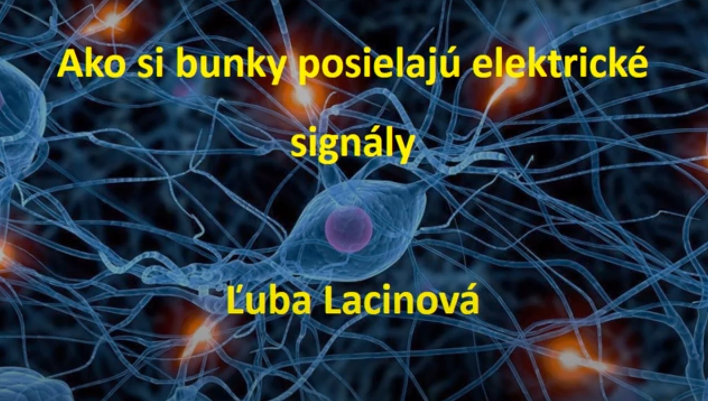 Ako si bunky posielajú elektrické signály